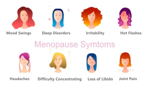 Menopause Therapy